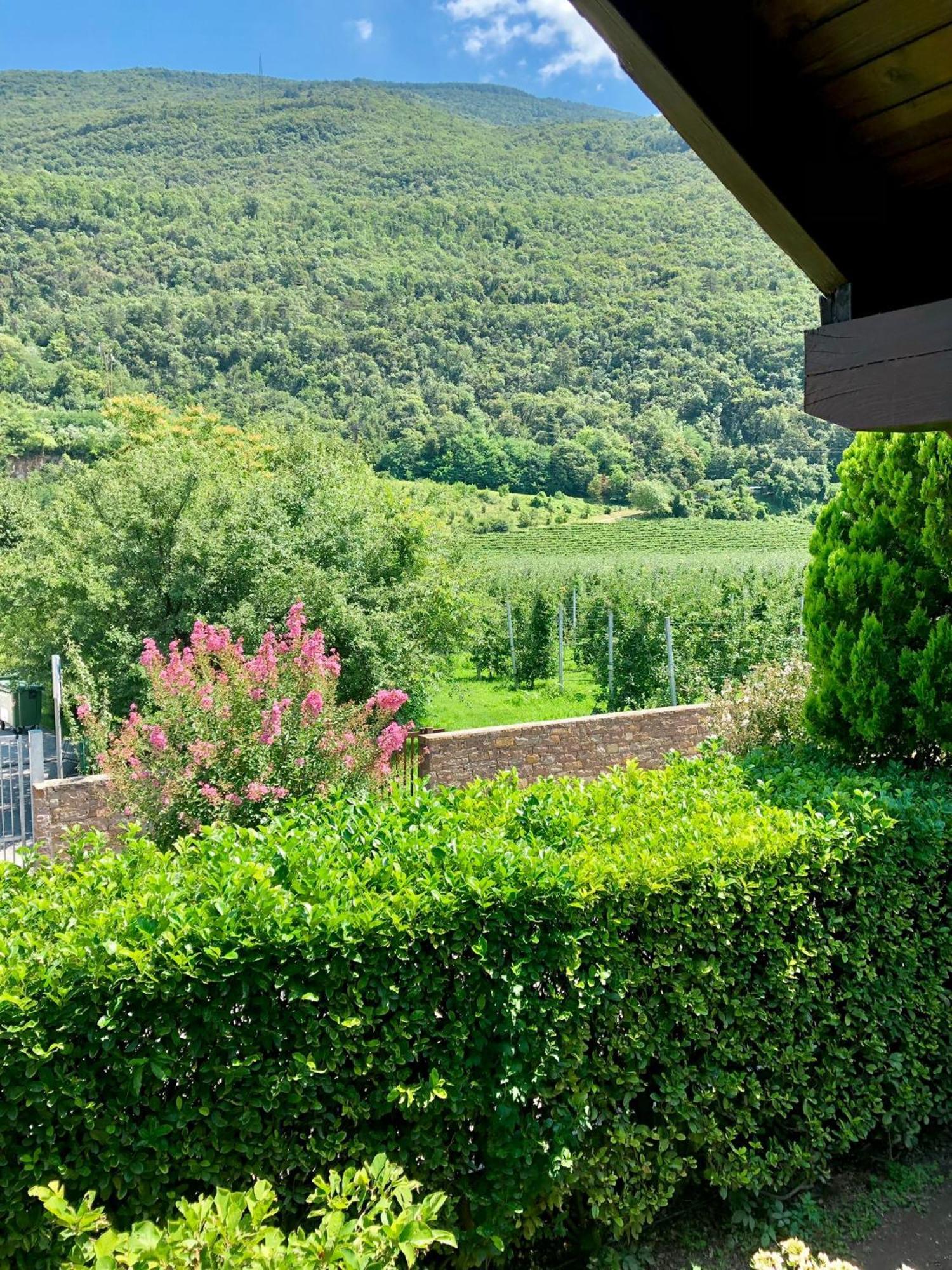 Casa Sally San Michele all'Adige Luaran gambar